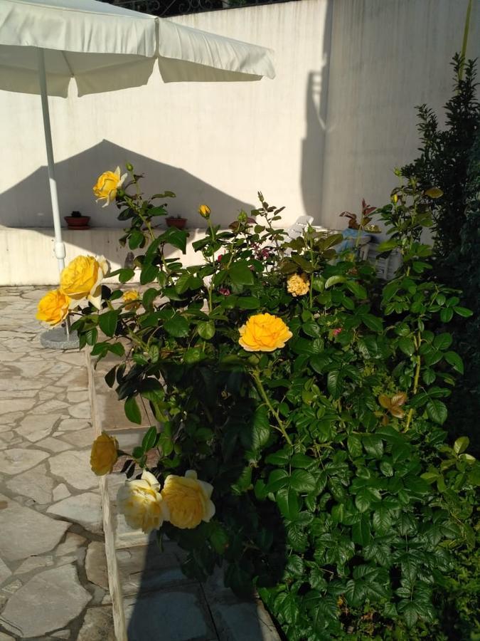Villa Maria Apartments Kamenari Luaran gambar